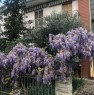 foto 3 - Busseto appartamento con locali ampi a Parma in Vendita