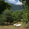 foto 8 - Caprarola rustico casale vista sul lago a Viterbo in Vendita