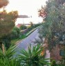 foto 5 - Isola del Giglio appartamento terrazza panoramica a Grosseto in Affitto
