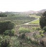 foto 10 - Favara villino immerso nel verde a Agrigento in Vendita