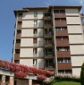 foto 6 - Appartamento sito in Nevegal Belluno a Belluno in Vendita