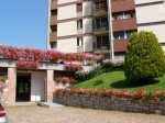 Annuncio vendita Appartamento sito in Nevegal Belluno