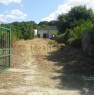 foto 6 - Chiaramonti casa agricola a Sassari in Vendita
