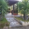 foto 6 - Localit Sfinalicchio casa vacanze a Foggia in Affitto