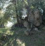 foto 2 - Arzachena casa in campagna a Olbia-Tempio in Vendita