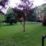 foto 5 - Sirmione bilocale in residence con piscina a Brescia in Affitto