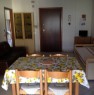 foto 0 - Alba Adriatica appartamento per vacanza a Teramo in Affitto