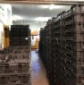 foto 8 - Tirano azienda vitivinicola a Sondrio in Vendita