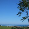 foto 4 - Casolare Senigallia prima collina vista mare a Ancona in Vendita