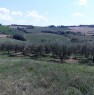foto 3 - San Giovanni in Marignano terreno ad uso agricolo a Rimini in Vendita