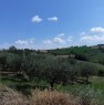 foto 0 - San Giovanni in Marignano terreno ad uso agricolo a Rimini in Vendita