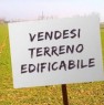 foto 0 - Adegliacco lotti di terreno edificabili a Udine in Vendita
