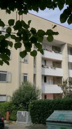 Annuncio affitto Udine miniappartamento con cantina