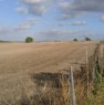 foto 8 - Olmedo terreno agricolo a Sassari in Vendita