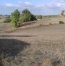 foto 4 - Olmedo terreno agricolo a Sassari in Vendita