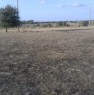 foto 1 - Olmedo terreno agricolo a Sassari in Vendita