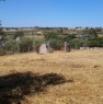 foto 5 - Pomezia terreno con rustico a Roma in Vendita