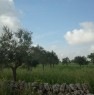 foto 3 - Ampio terreno agricolo a Gioia del Colle a Bari in Vendita