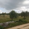 foto 2 - Terreno agricolo a Gioia del Colle a Bari in Vendita