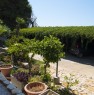 foto 11 - Sciacca lussuosa casa nuova con giardino a Agrigento in Vendita