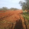 foto 1 - San Lorenzo di Umago fertile terreno agricolo a Croazia in Vendita