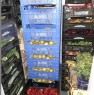 foto 2 - Sambuceto zona Tiburtina attivit frutta e verdura a Chieti in Vendita