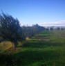 foto 7 - Scanzano Jonico terreno agricolo a Matera in Vendita