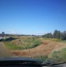 foto 3 - Scanzano Jonico terreno agricolo a Matera in Vendita