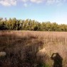 foto 6 - Alghero terreno agricolo pianeggiante a Sassari in Vendita