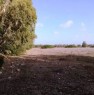 foto 2 - Alghero terreno agricolo pianeggiante a Sassari in Vendita