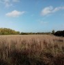 foto 0 - Alghero terreno agricolo pianeggiante a Sassari in Vendita