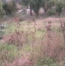 foto 4 - Lotti di terreno in Sant'Egidio del Monte Albino a Salerno in Affitto