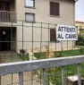 foto 25 - Brescello casa a Reggio nell'Emilia in Vendita