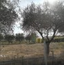 foto 0 - San Giovanni in Marignano terreno agricolo a Rimini in Vendita
