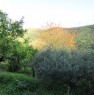 foto 3 - Santa Lucia del Mela terreno agricolo con casetta a Messina in Vendita