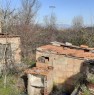 foto 8 - Torrita di Siena rustico con terreno a Siena in Vendita