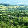 foto 14 - Gubbio in collina azienda agricola a Perugia in Vendita