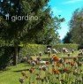 foto 34 - Castiglione del Lago tenuta agricola a Perugia in Vendita