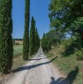 foto 29 - Castiglione del Lago tenuta agricola a Perugia in Vendita