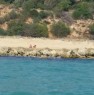 foto 3 - Agrigento zona Maddalusa camere fronte spiaggia a Agrigento in Affitto