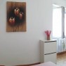 foto 4 - Milano nuova stanza singola per ragazza a Milano in Affitto