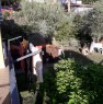 foto 4 - A Perdifumo appartamento a Salerno in Affitto