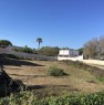 foto 3 - Melendugno non lontano dal mare terreno agricolo a Lecce in Vendita