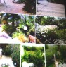 foto 7 - Vieste bilocali trilocali immersi nella natura a Foggia in Affitto