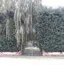 foto 2 - Porto Mantovano casa di campagna nel verde a Mantova in Vendita