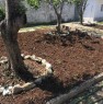 foto 8 - Lecce villa indipendente con giardino a Lecce in Vendita