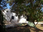 Annuncio vendita Carovigno villa nel borgo di Serranova