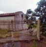 foto 2 - Sangineto casa con terreno agricolo a Cosenza in Vendita