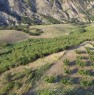 foto 3 - Terreni in agro di Montalbano Jonico a Matera in Vendita