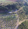 foto 2 - Terreni in agro di Montalbano Jonico a Matera in Vendita